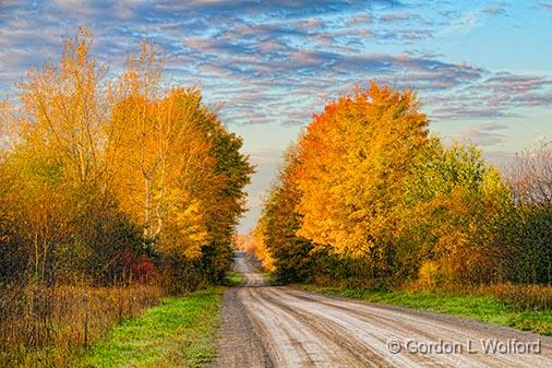 Autumn Back Road_29806.jpg - Photographed near Lombardy, Ontario, Canada.